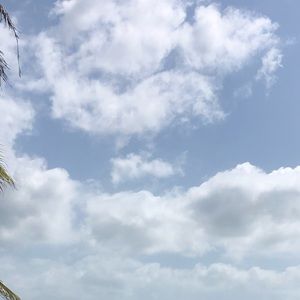 Meet your Posher, Art